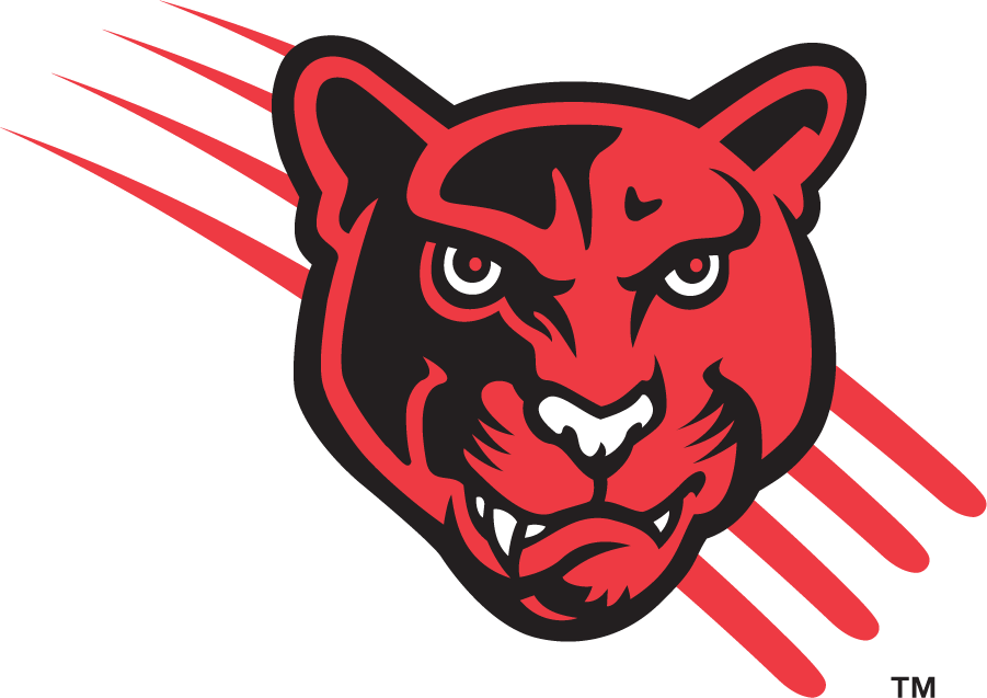 Houston Cougars 1996-2003 Secondary Logo v4 diy iron on heat transfer